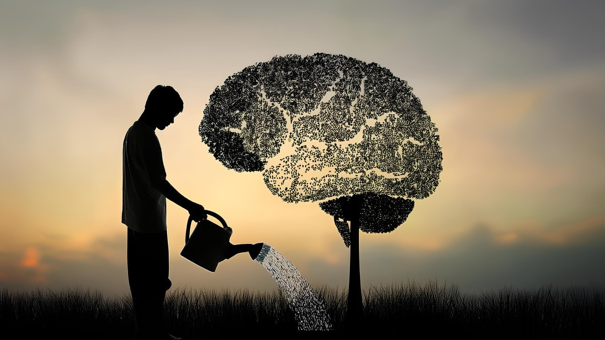 Média Comprendre les troubles cognitifs - Autonomiser les esprits, bâtir des communautés plus brillantes. 3