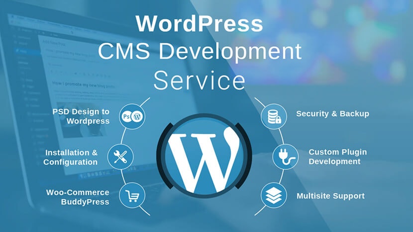 WordPress Development Services gallery image