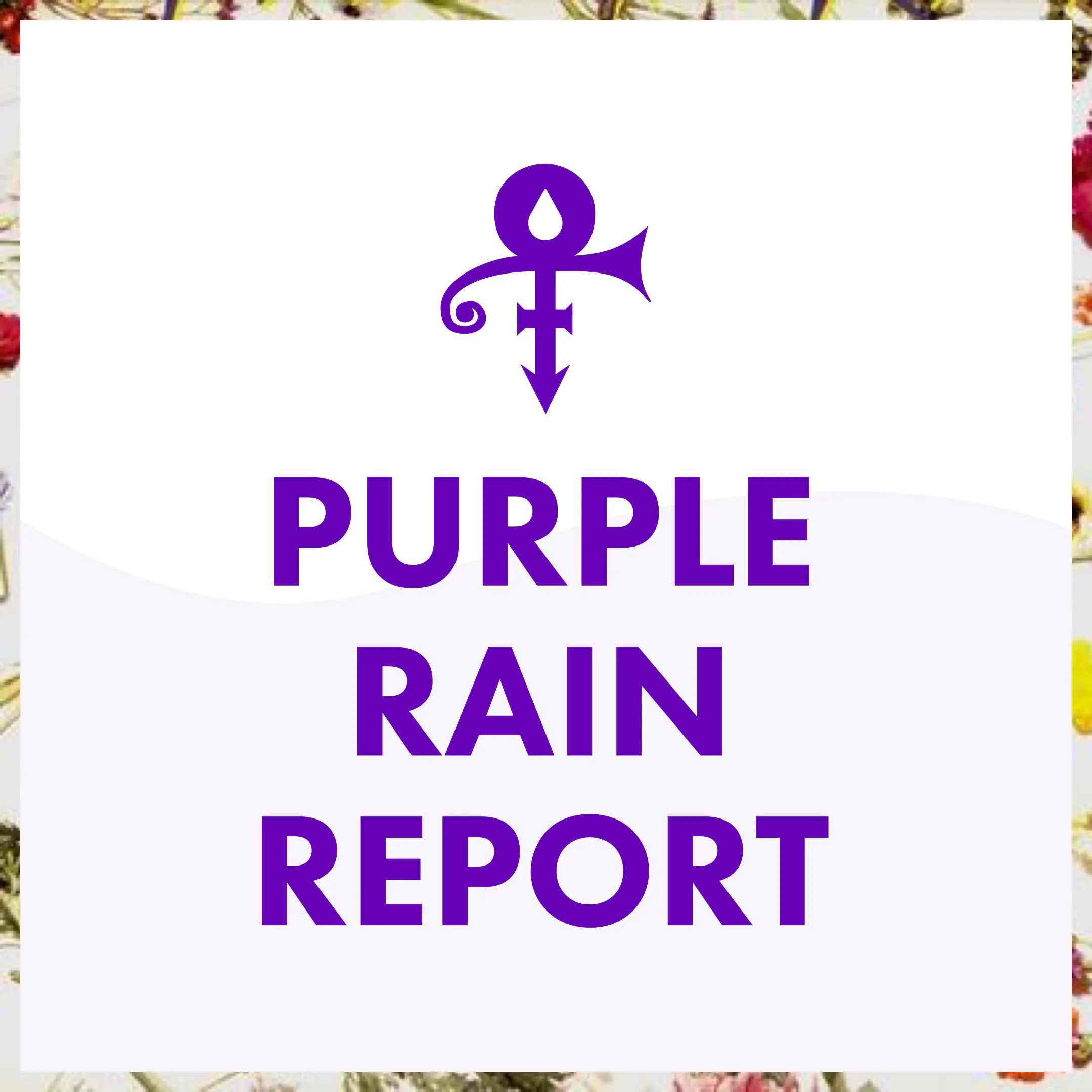 Purple Rain Report