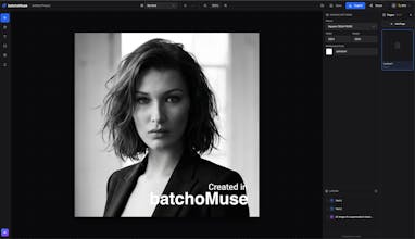 BatchoMuse gallery image