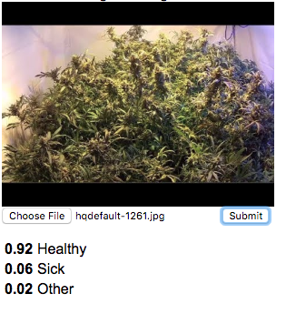 Chronic Sickness gallery image