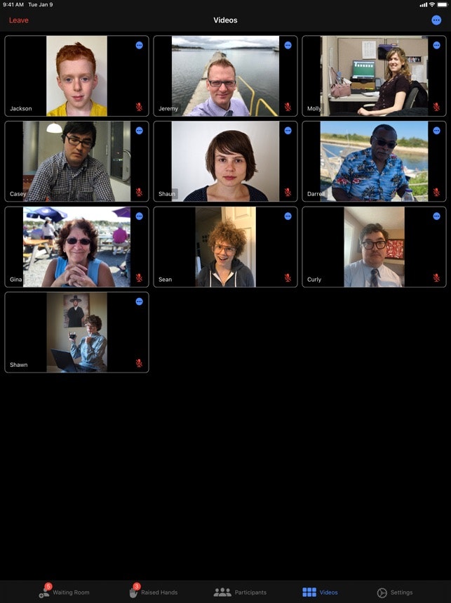 Attendant for Zoom gallery image