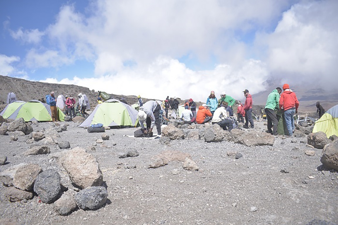 Africantrust Safari gallery image