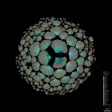 Data is beautiful gallery image