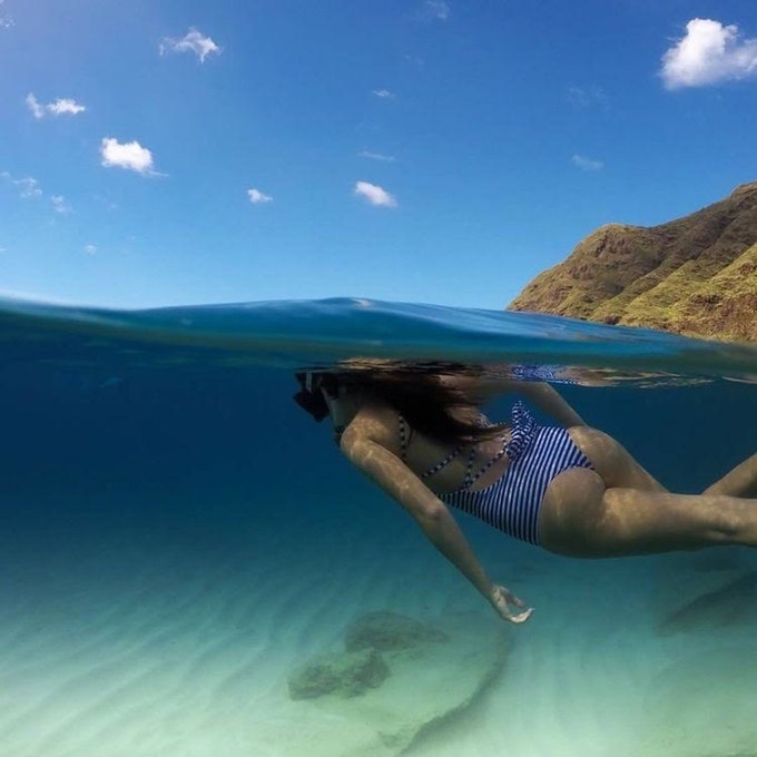 Crocodile gallery image