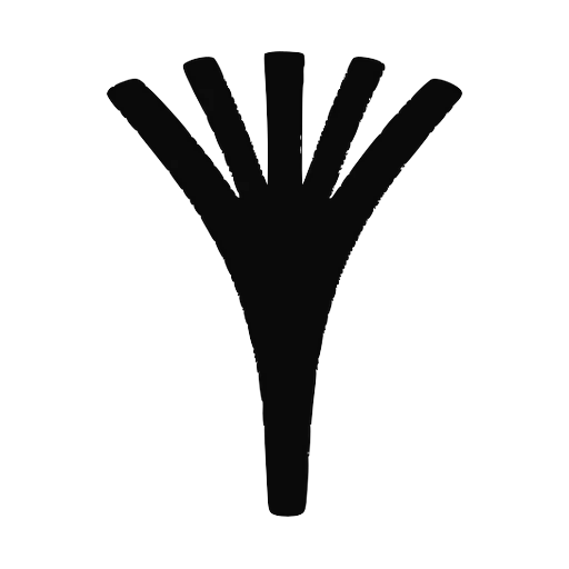Konduyt