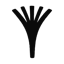 Konduyt
