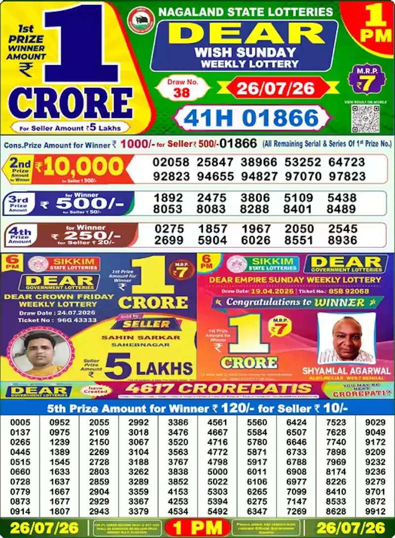 India Lottery Results screenshot 3