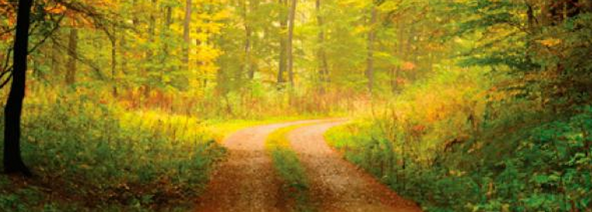 Marketing for Entrepreneurs gallery image