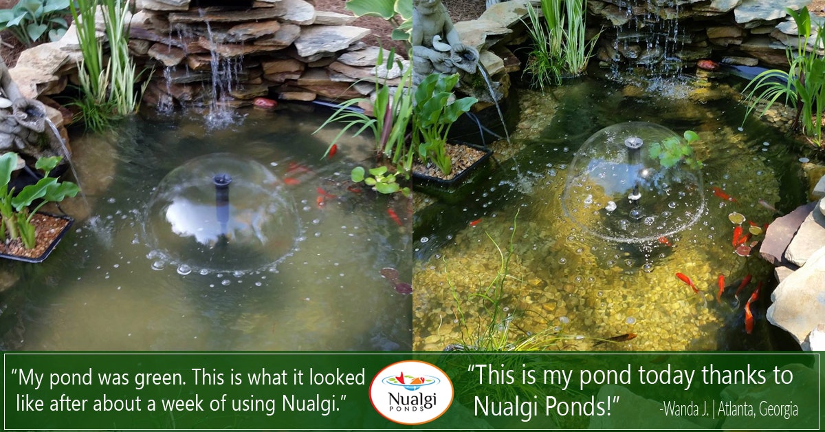 Nualgi Ponds Water Treatment gallery image