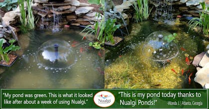 Nualgi Ponds Water Treatment gallery image