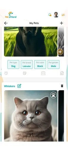 Petafriend media 3