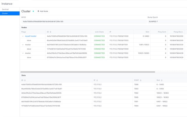 Racompass gallery image