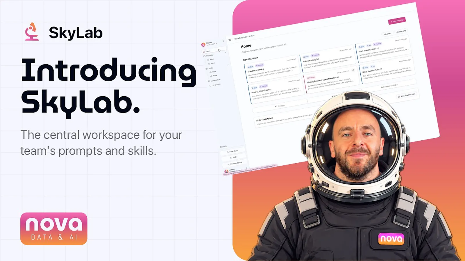SkyLab screenshot 1 (video preview)