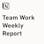 Notion Team Work Weekly Report