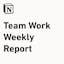 Notion Team Work Weekly Report