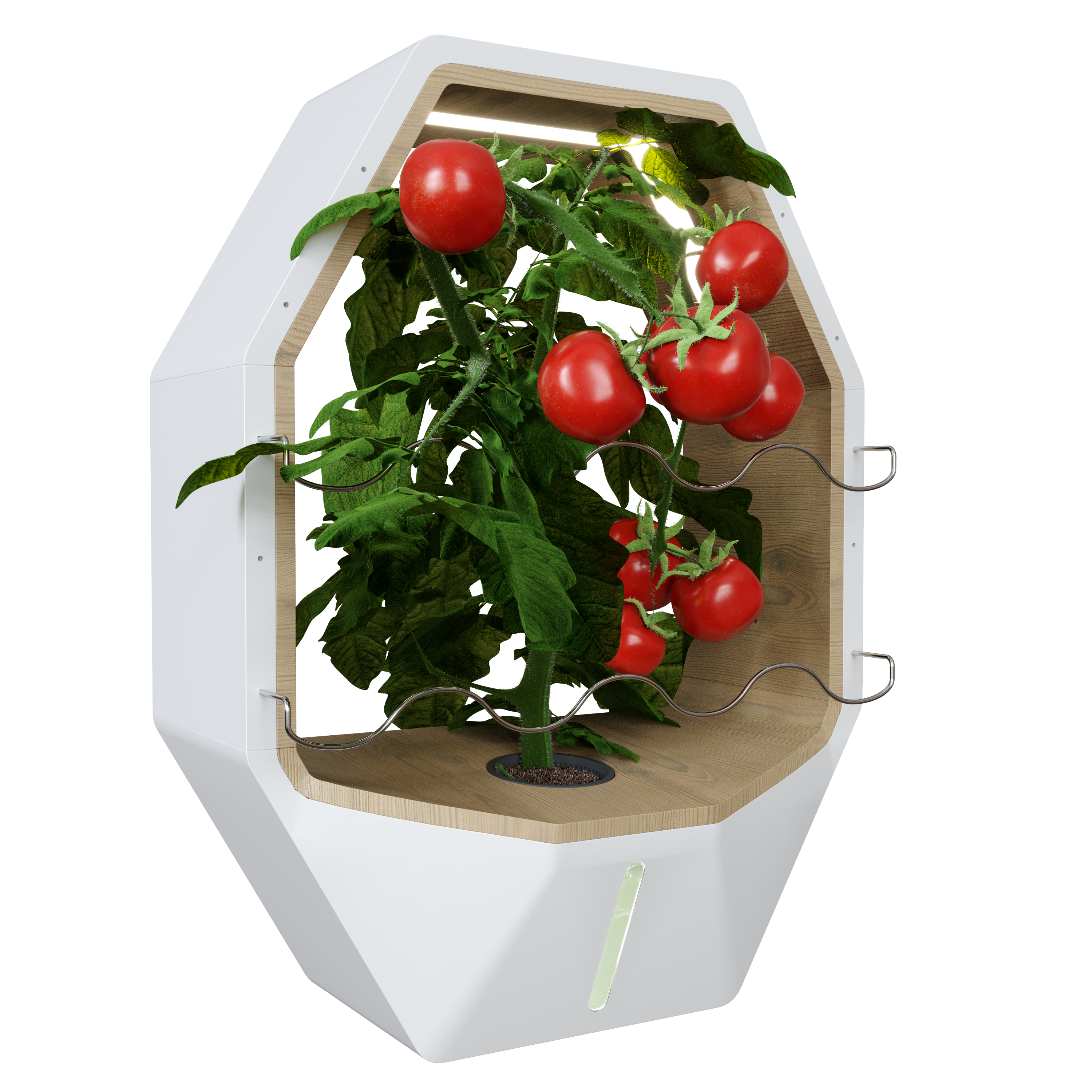 Bee Leaf Planter gallery image