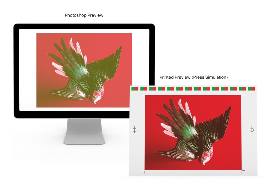 Color Library gallery image