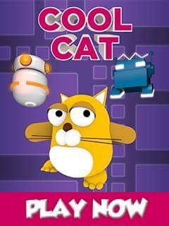 Mukul Verma gallery image