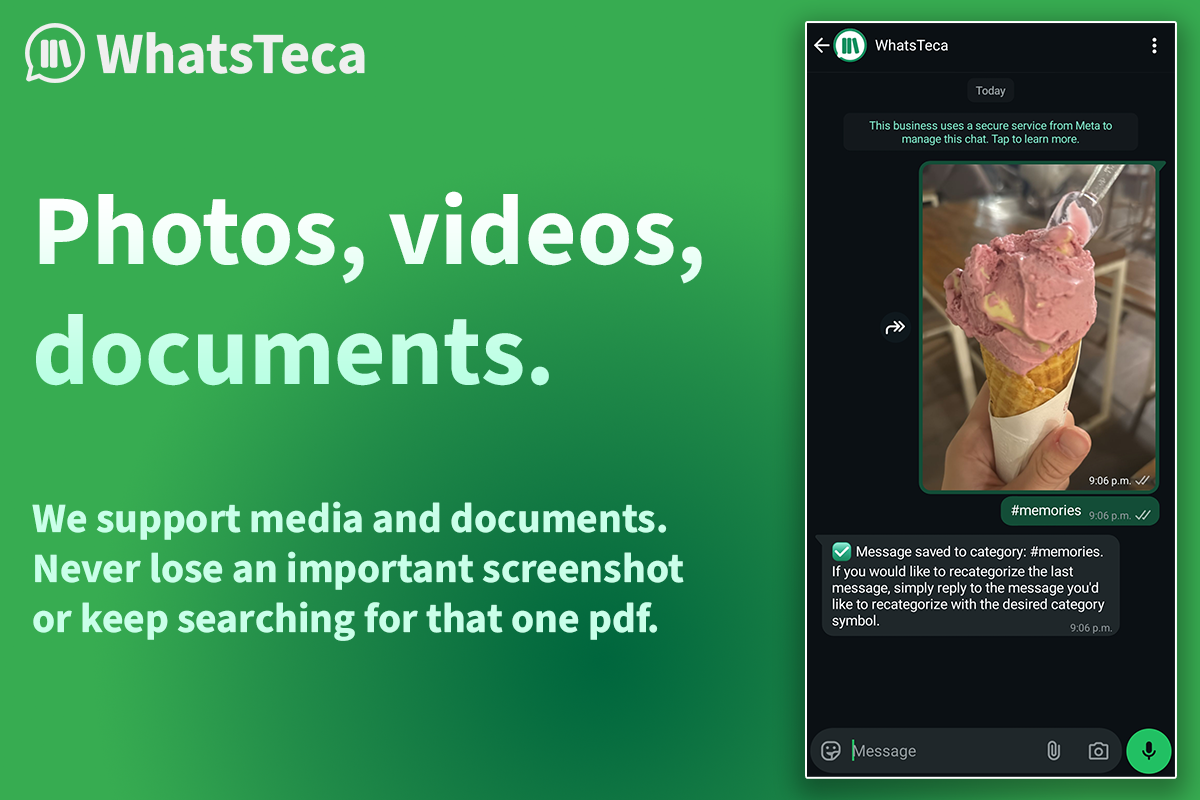 Whatsteca media 3