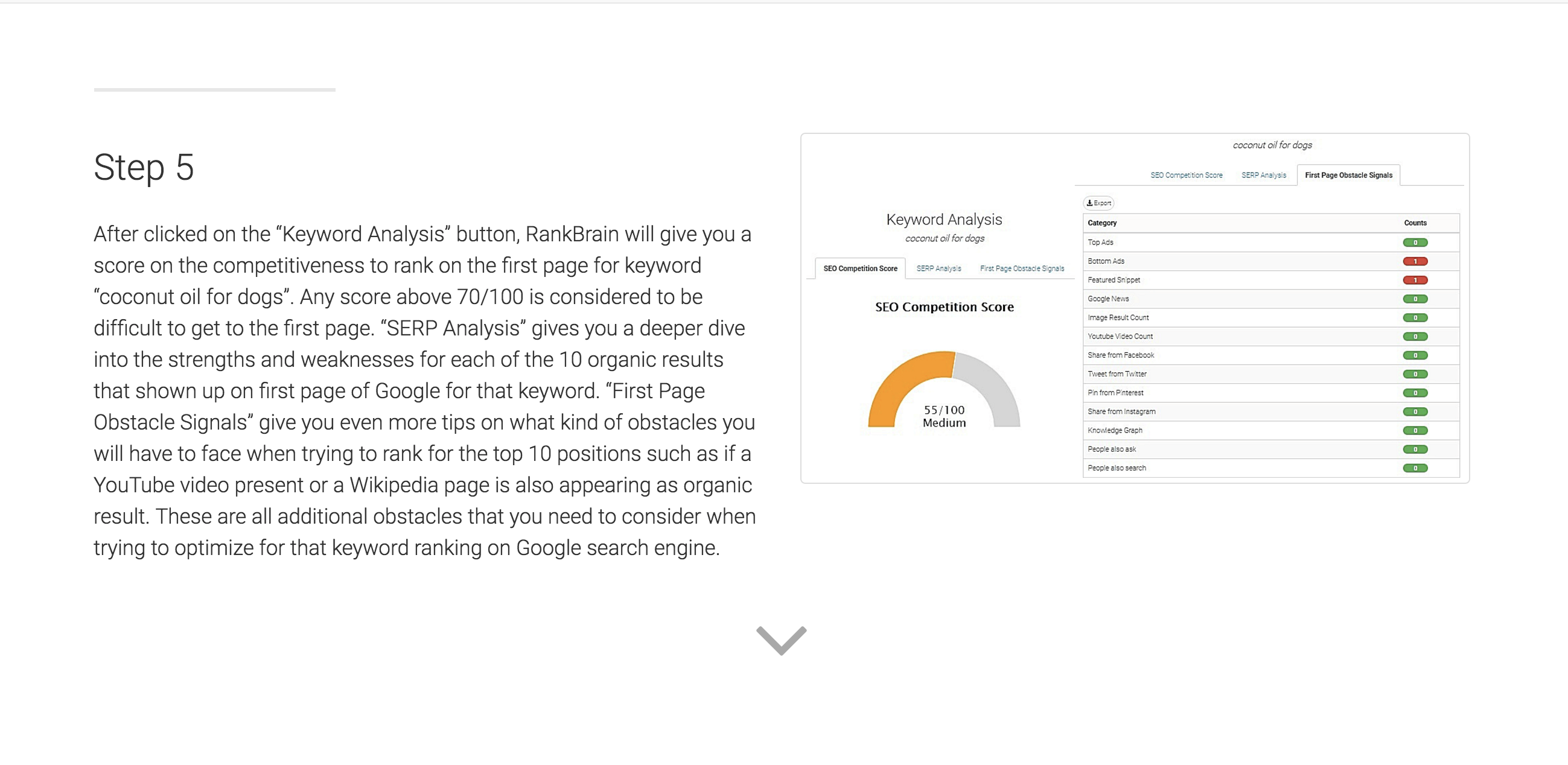 RankBrain gallery image