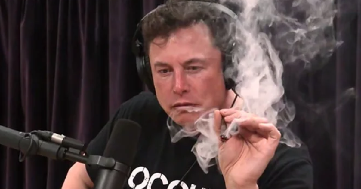 Elon Quiz media 1
