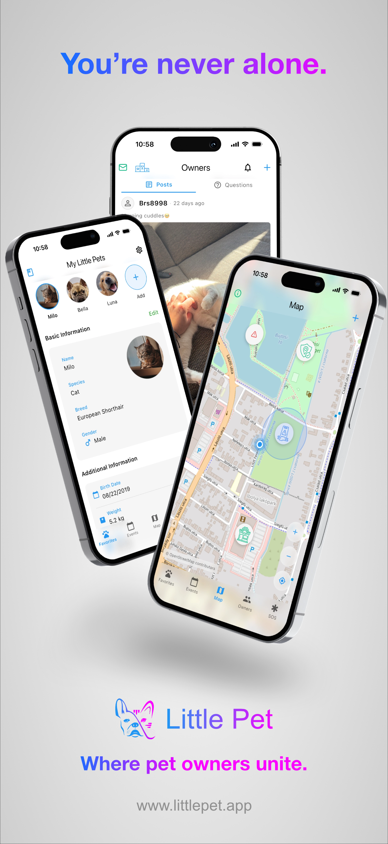 Little Pet - Main product screenshot demonstrating key features and user interface