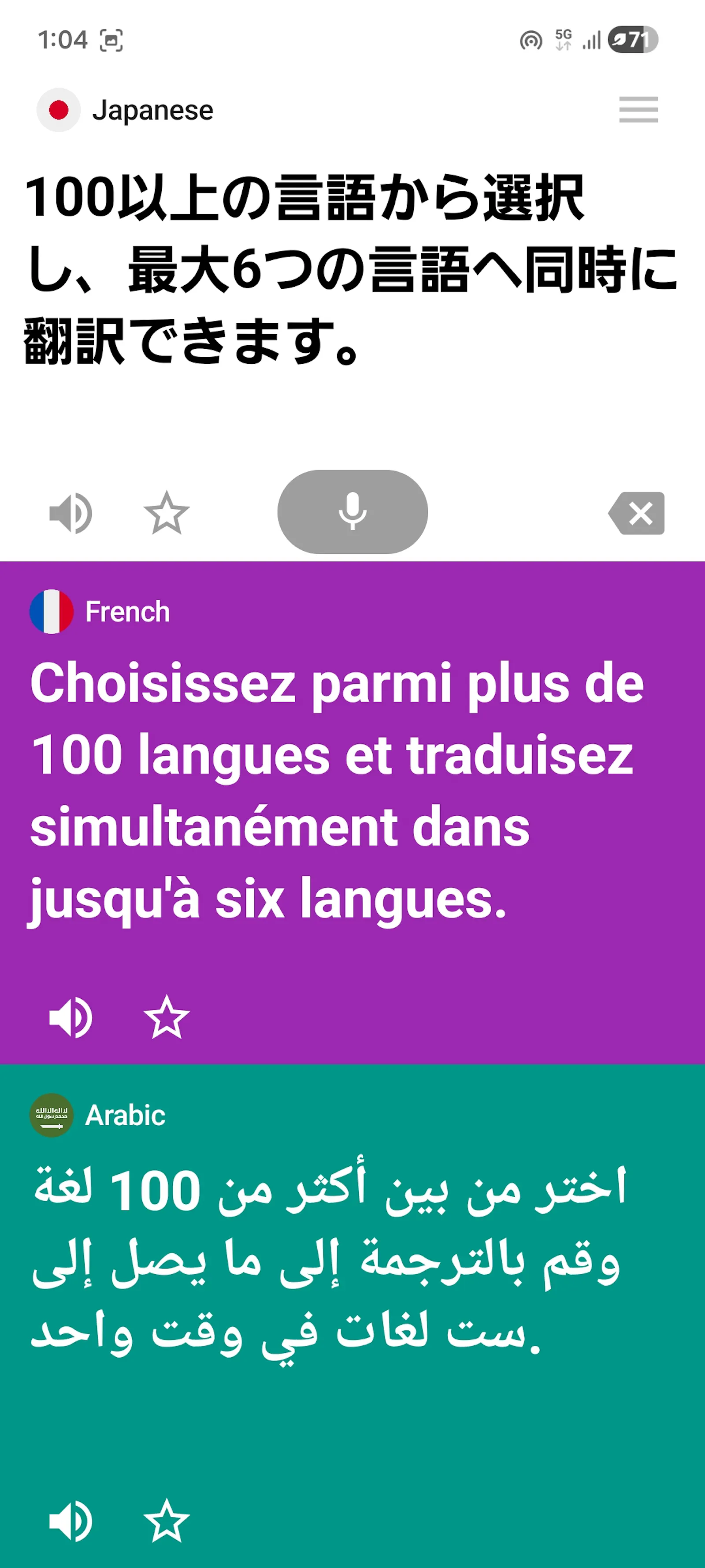 multilinger screenshot 3