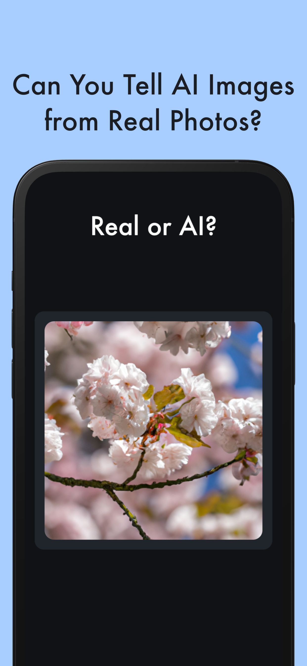 Real ou AI?|Desafio fotográfico media 2