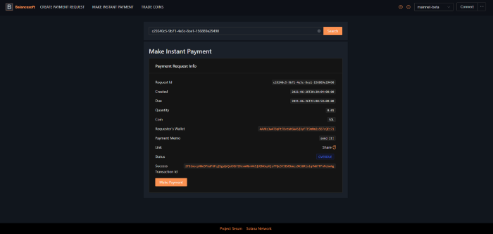 Balancesoft gallery image