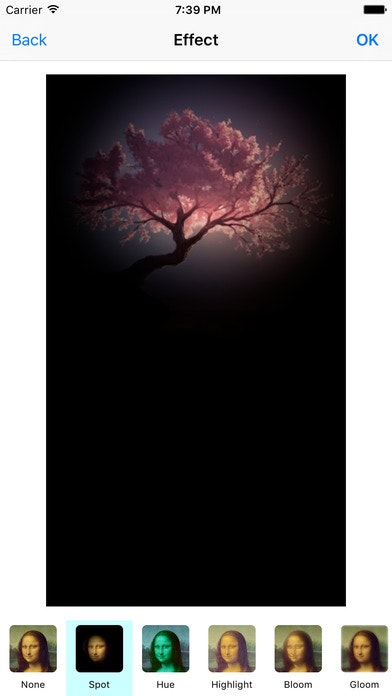 PicEdit gallery image