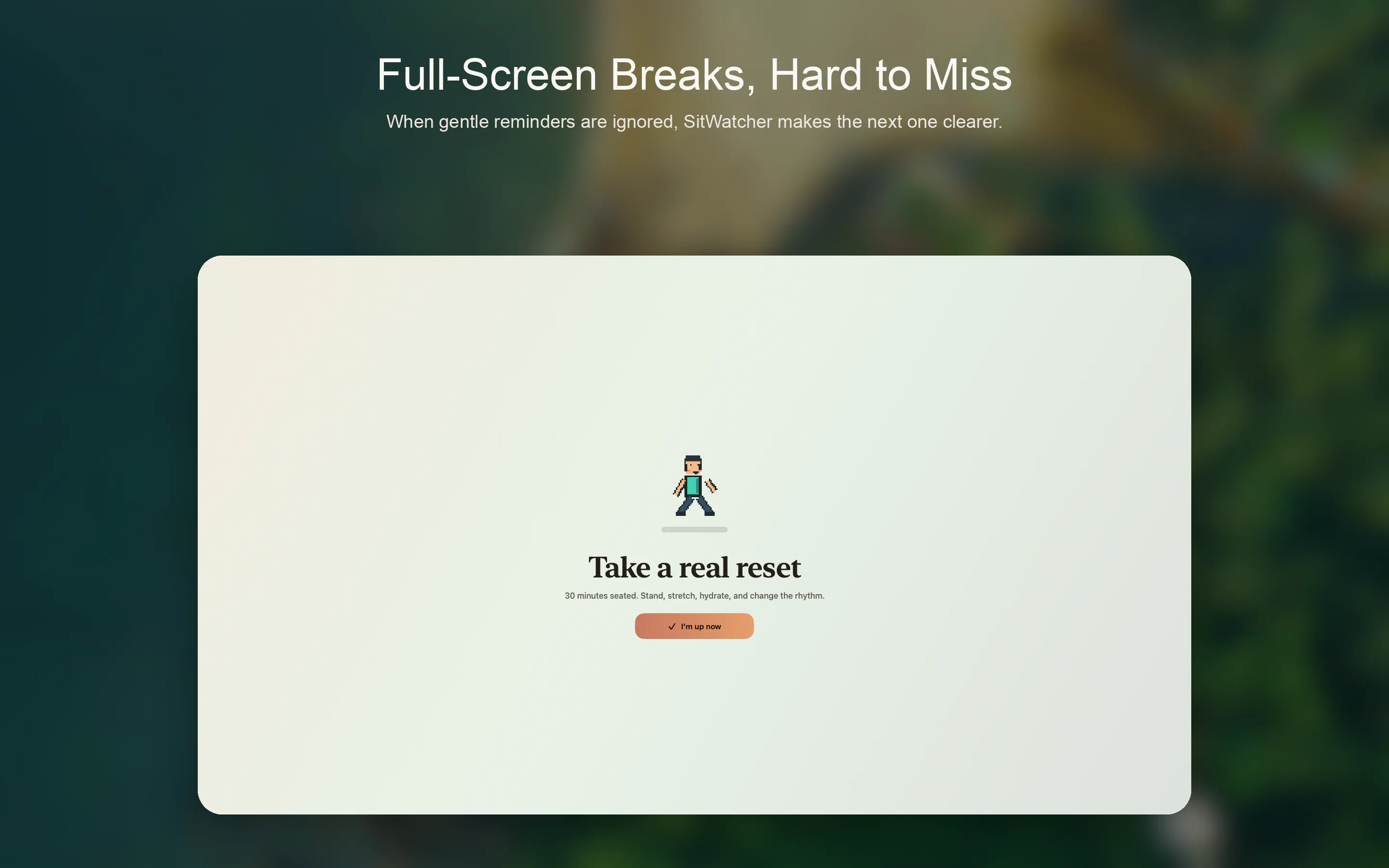 SitWatcher gallery image