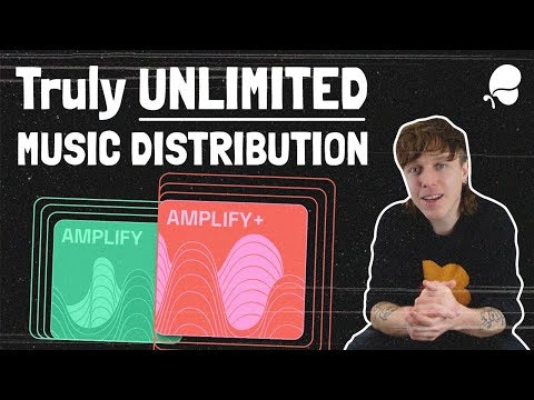 AMPLIFY gallery image