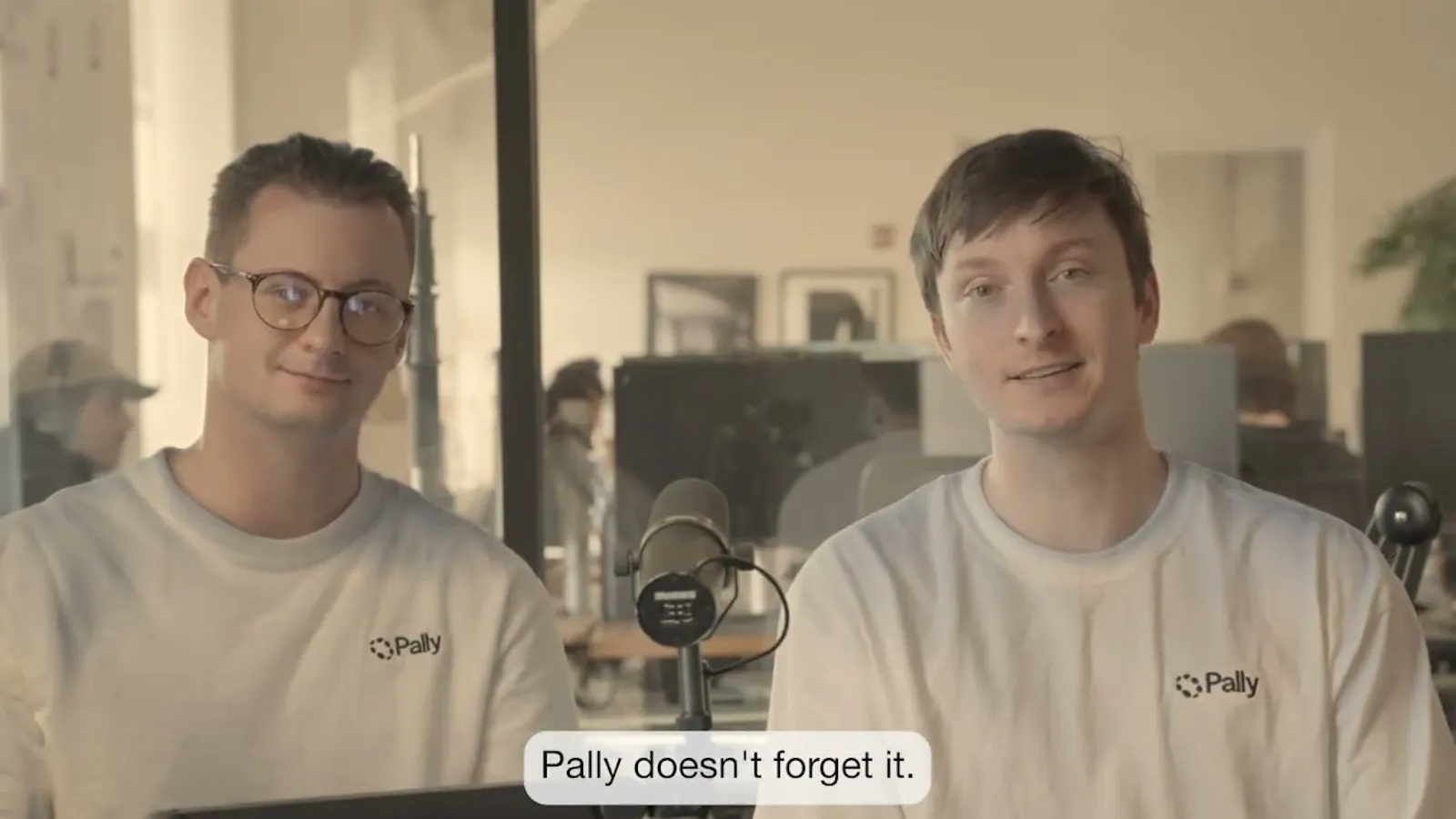Pally screenshot 1 (video preview)