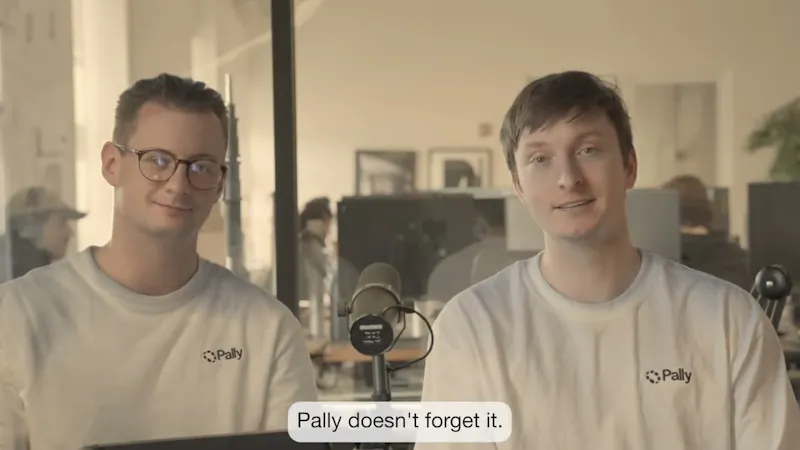 Pally screenshot 1 (video preview)