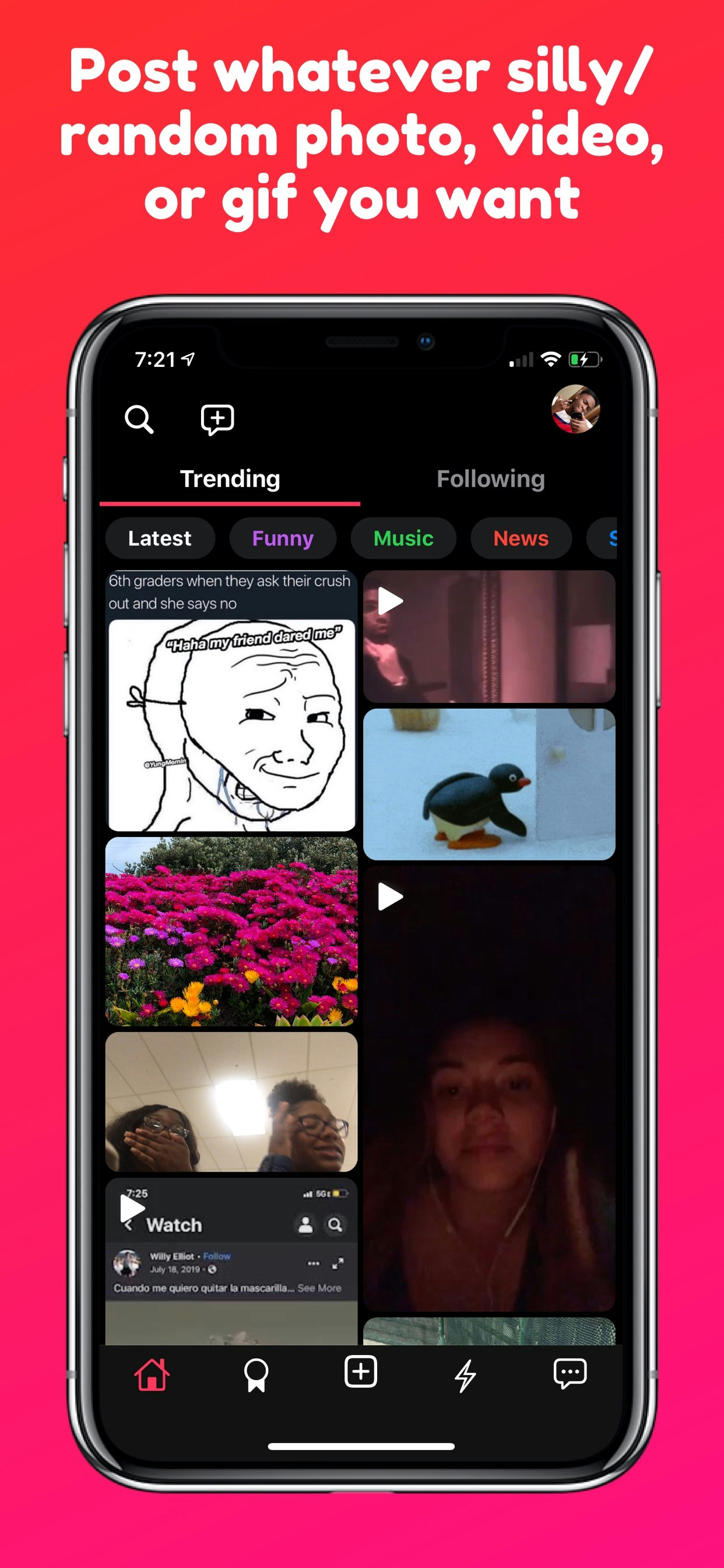 Mutuel gallery image