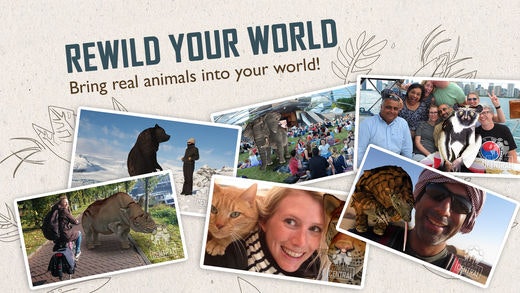 SAFARI CENTRAL gallery image