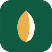 KernelCash Budgeting