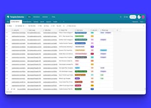 Template detective gallery image