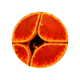 AsterMiner ⛏️ Mine to Earn on BSC