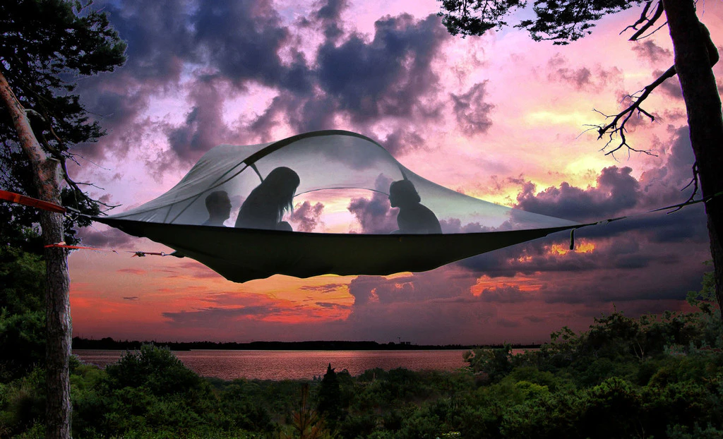 Stingray Tree Tent