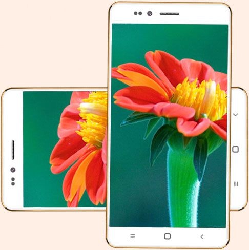 Freedom 251 gallery image