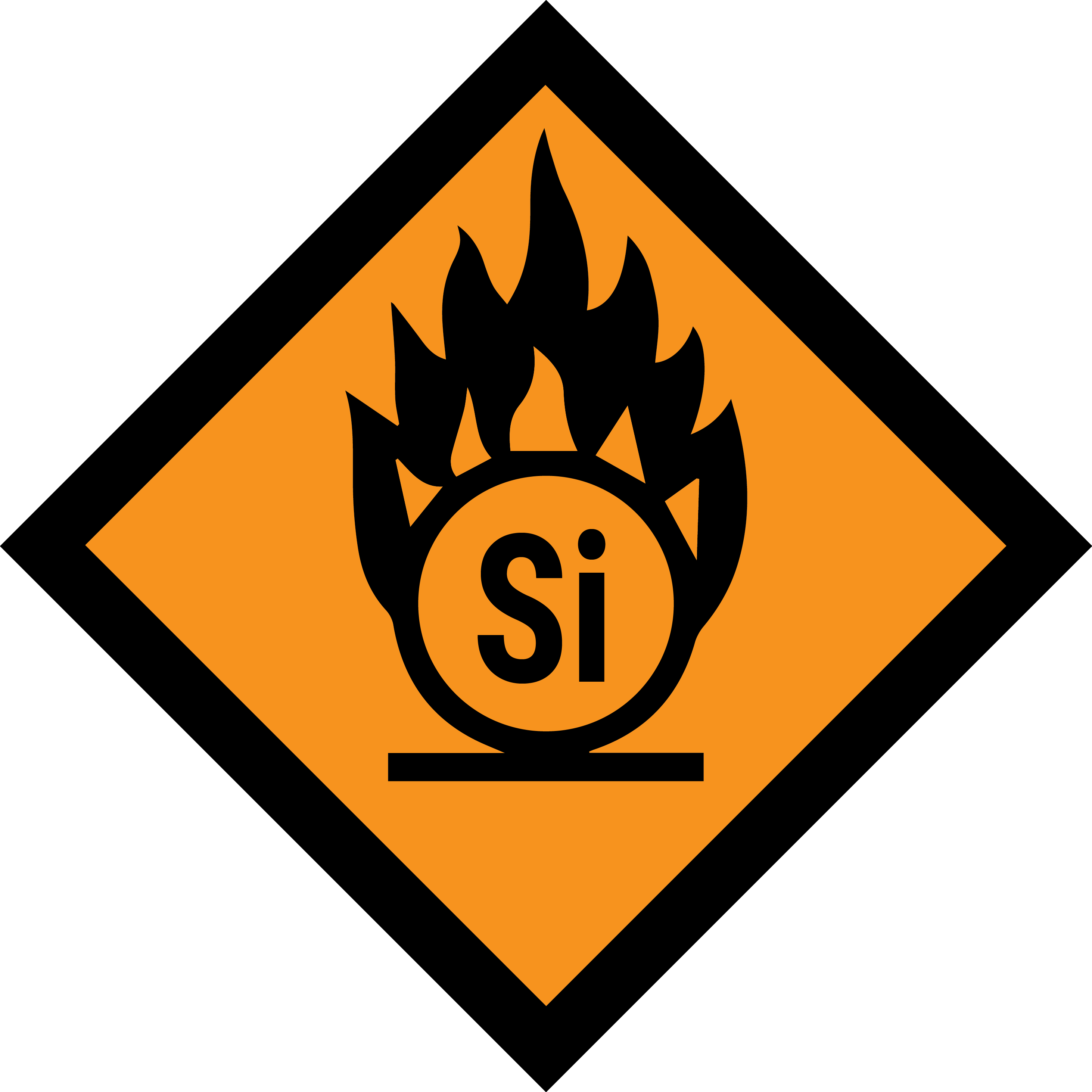 THE SILICOIN