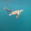 Snorkeling Gili Trawangan