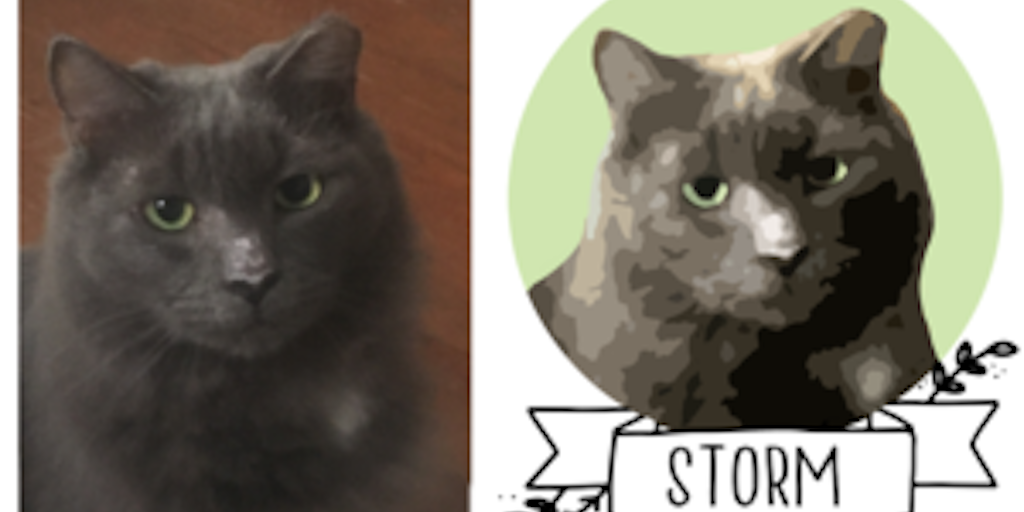 Custom Cat Coffee Cups Image