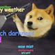 Doge Weather