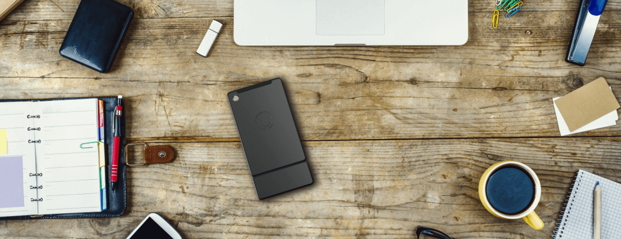 Kangaroo gallery image