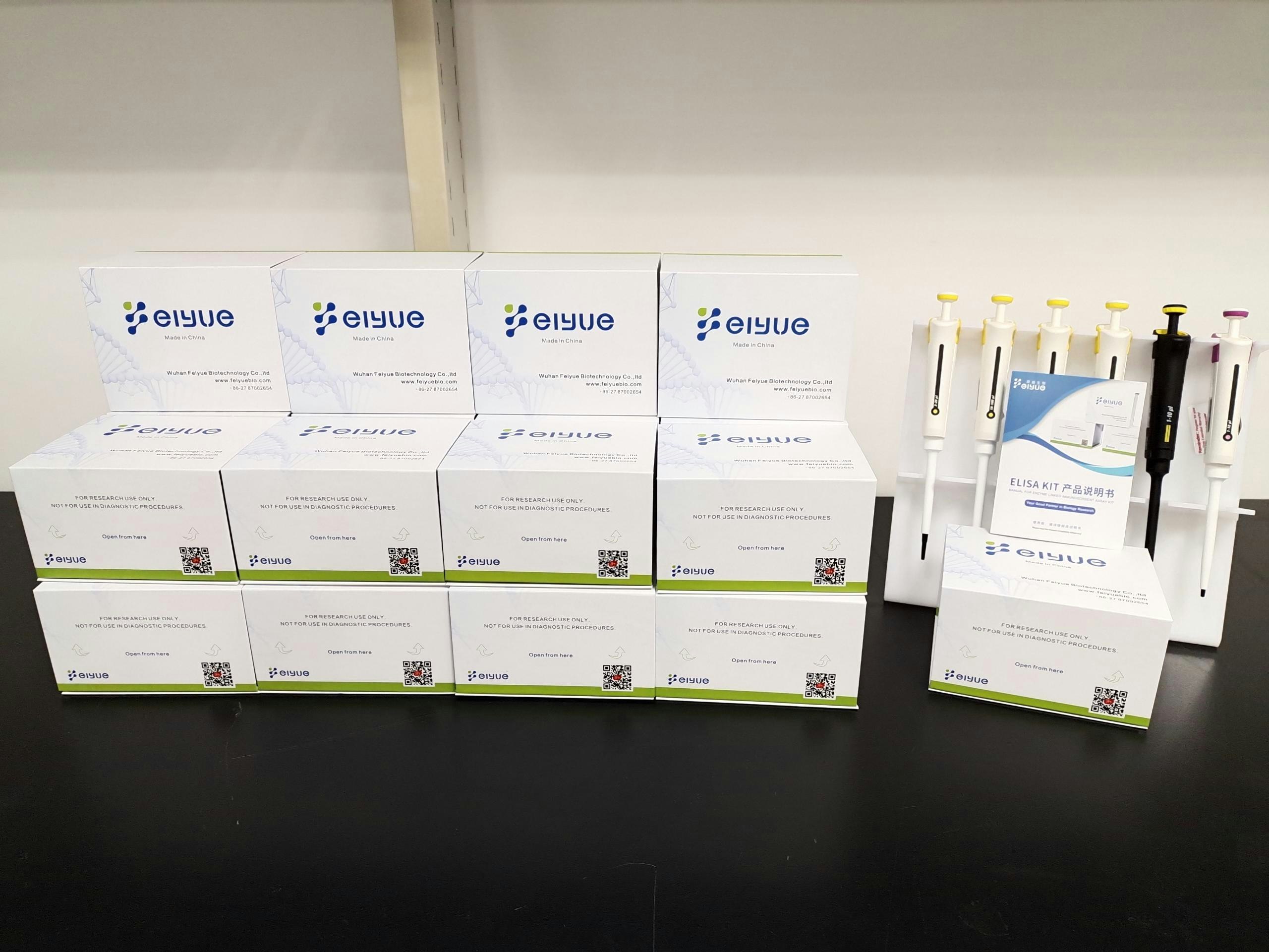 Elisa kits gallery image