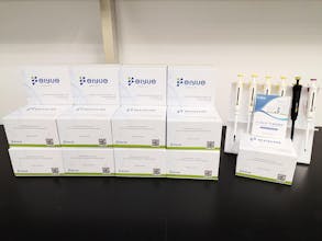 Elisa kits gallery image