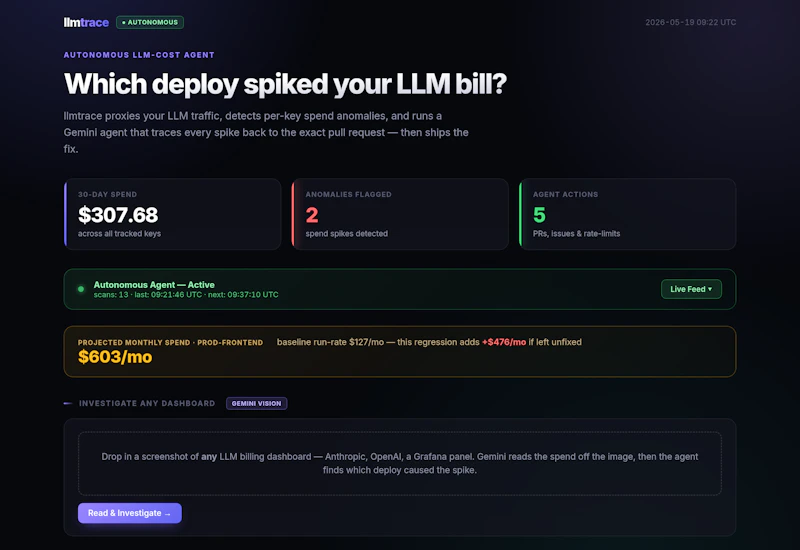 LLMTrace screenshot 3